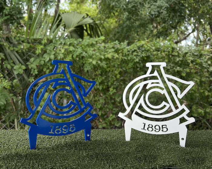 blue and white set tee markeres