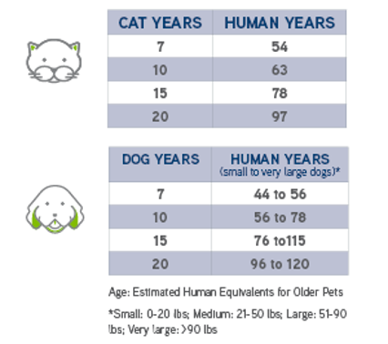 a chart showing ages of cats and dog in human years