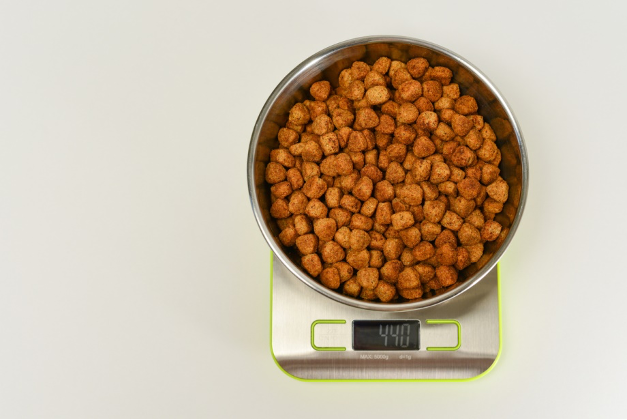 bowl of dry food on a scale