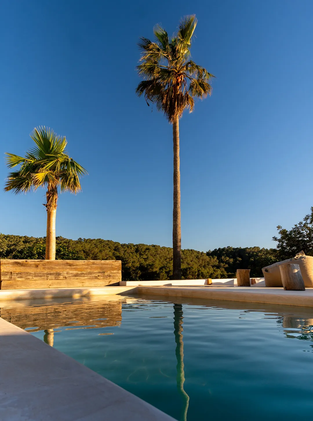 Outdoor swimming pool with clear water, surrounded by palm trees and a wooden planter, under a clear blue sky.