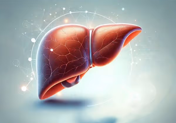 Liver symbolising fatty liver disease