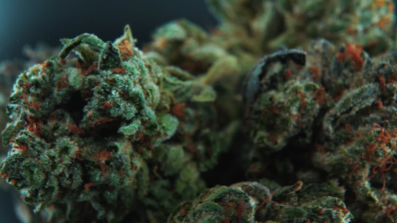 Stoner Relationship Quotes. QuotesGram, image size:1280x720