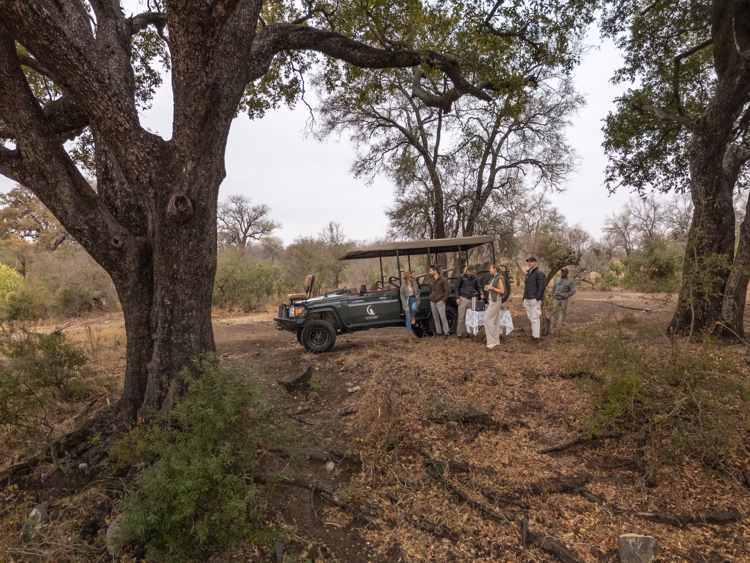 Explore the bush on foot with expert guides.