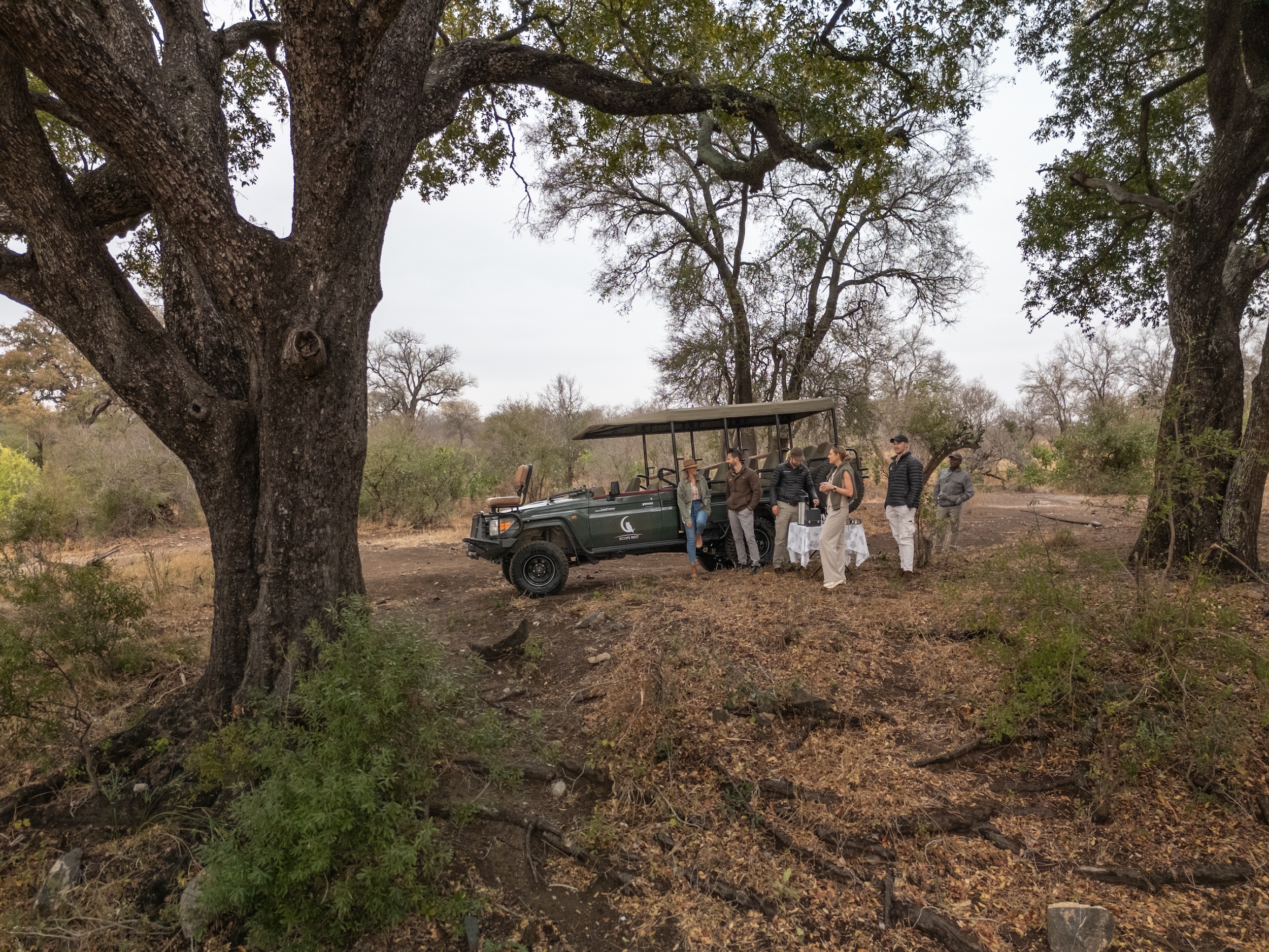 Explore the bush on foot with expert guides.