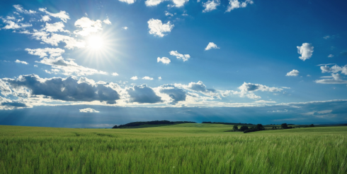 photo d'un champ ensoleillé, ciel bleu parsemé de nuages