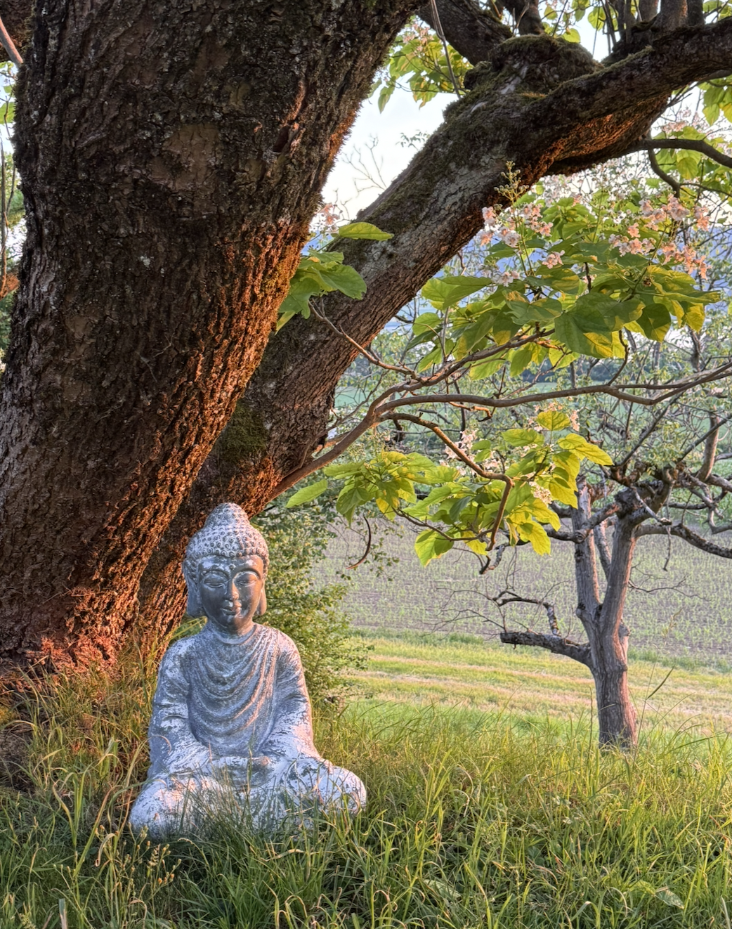  Eine Person, die Yoga auf einer Matte macht