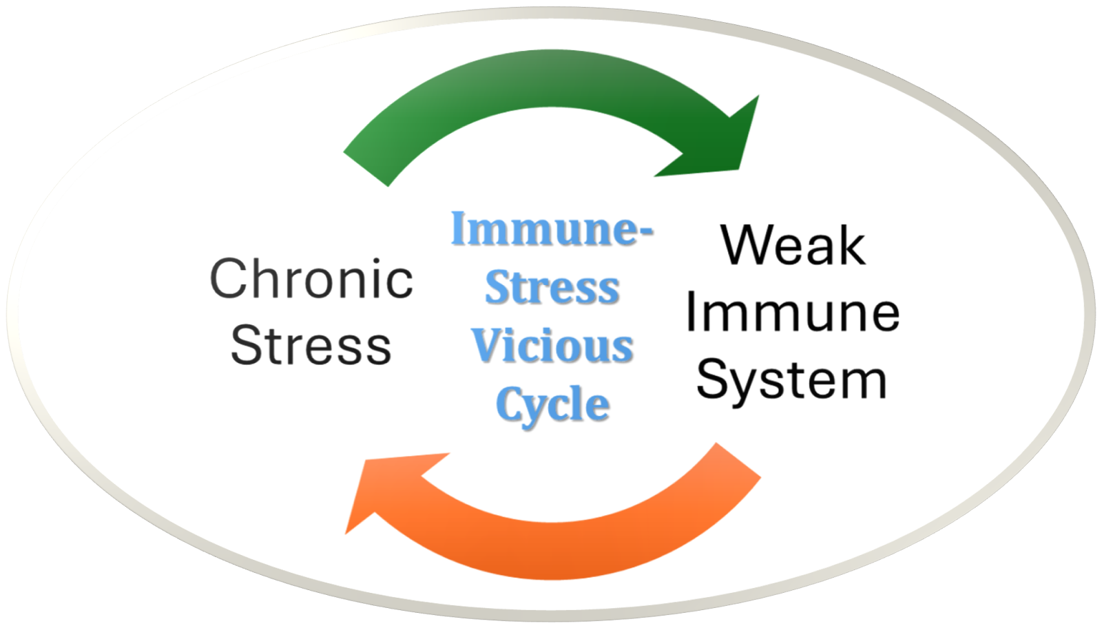 Breaking the Cycle: How Chronic Stress is Silently Accelerating Your Aging and What You Can Do About It