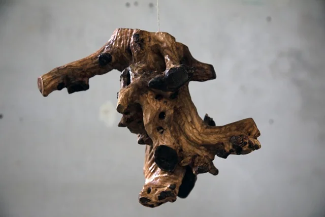 HELLING X (RE)PRESENTS  WUNDERKAMMER