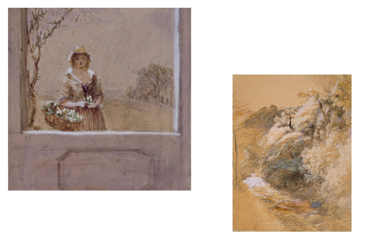 High-performance Project picture used by web design professionals at our Montreal-based agency