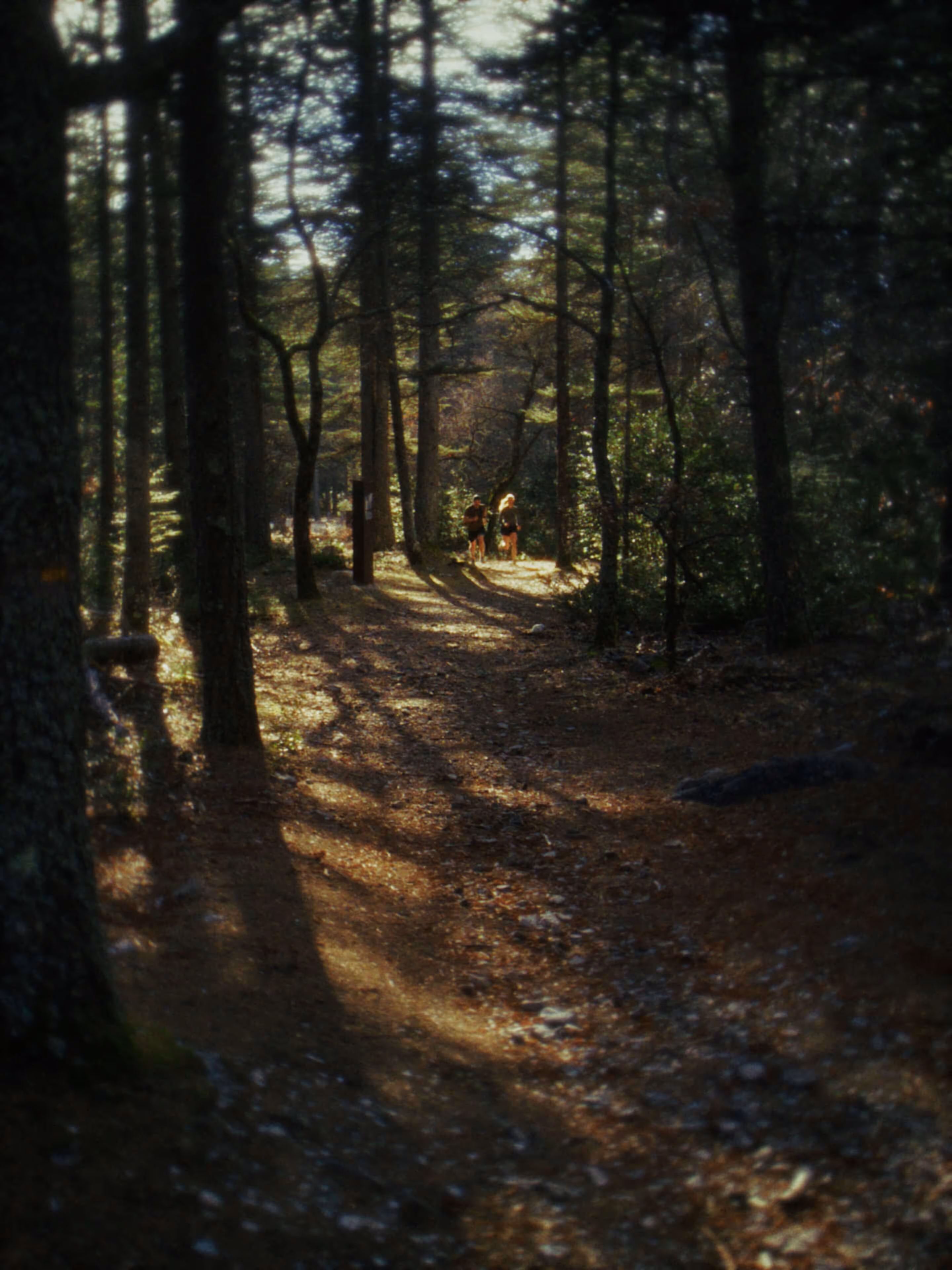 Joe Nimble: Toe Pilot Campaign Framegrab