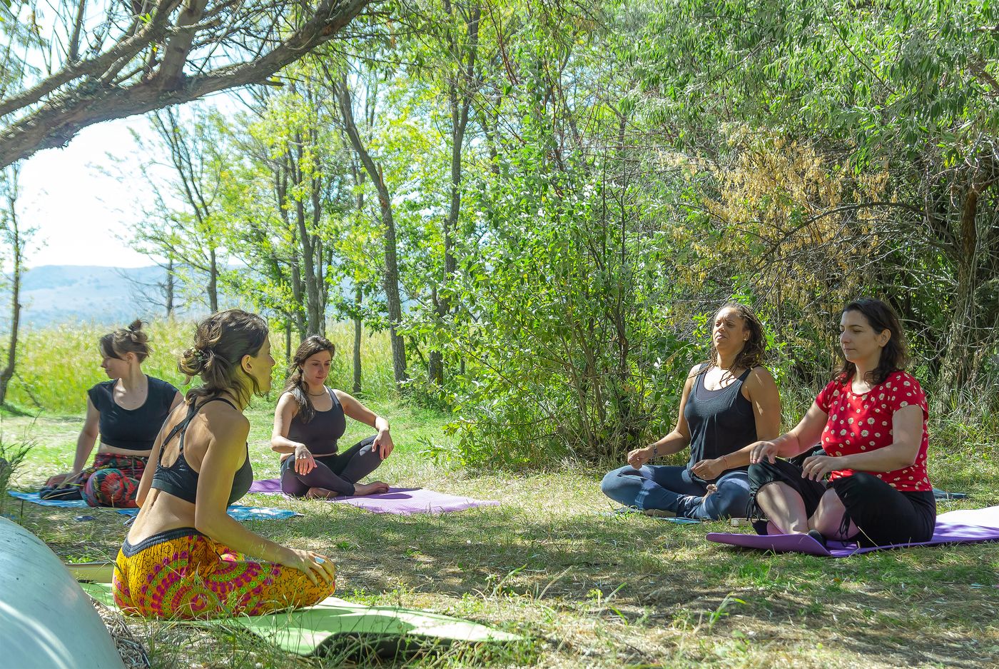 People practicing yoga and meditation outdoors on a sunny day