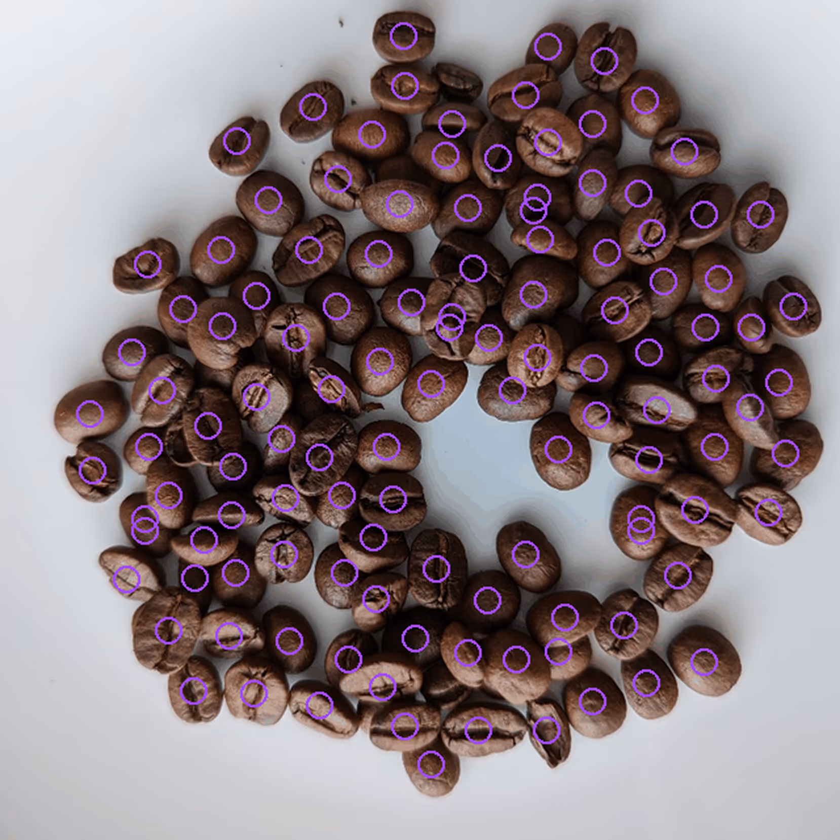 Counting coffee beans with computer vision