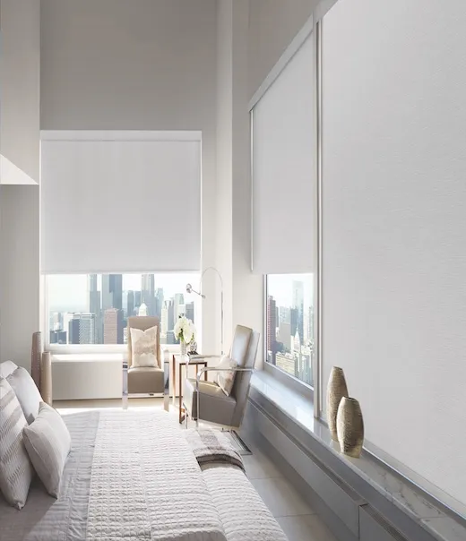solar shades on large windows to control light and heat