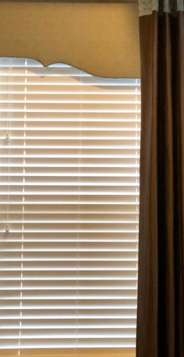 window blinds University Park, TX