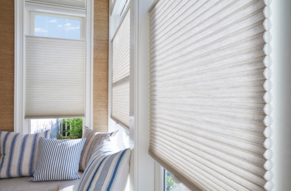Cellular window shades filtering natural light, window shades in University Park, TX