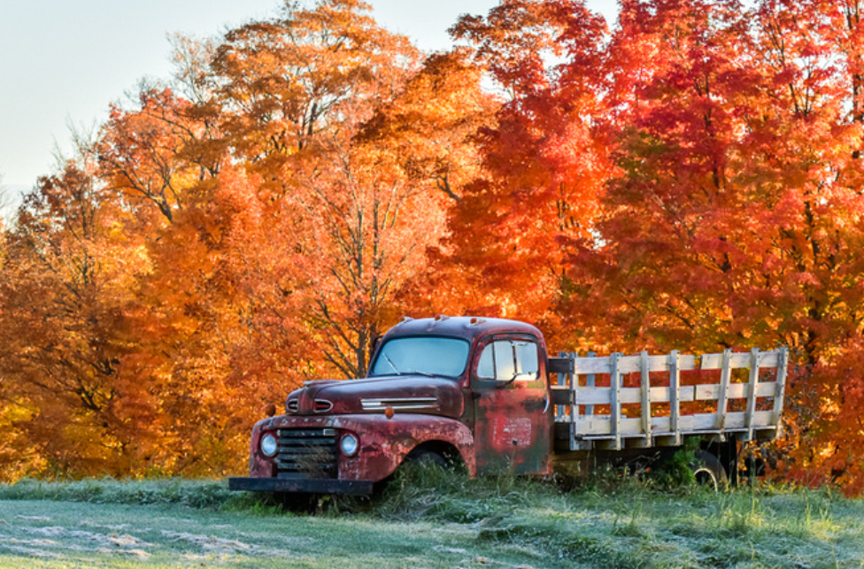 a cute antique truck resting in a field with bright fall leaves behind for a classic new england fall