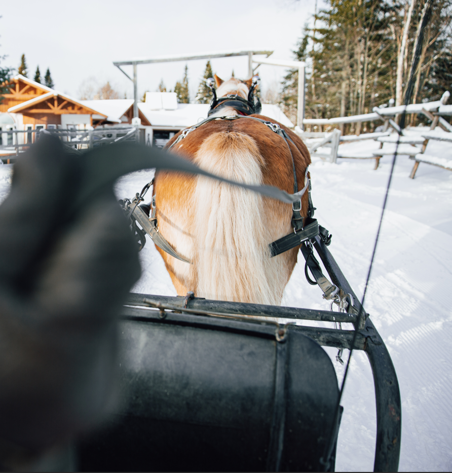 Friendly locals just pausing to let you simply just be :) #VisitAroostook #mainething