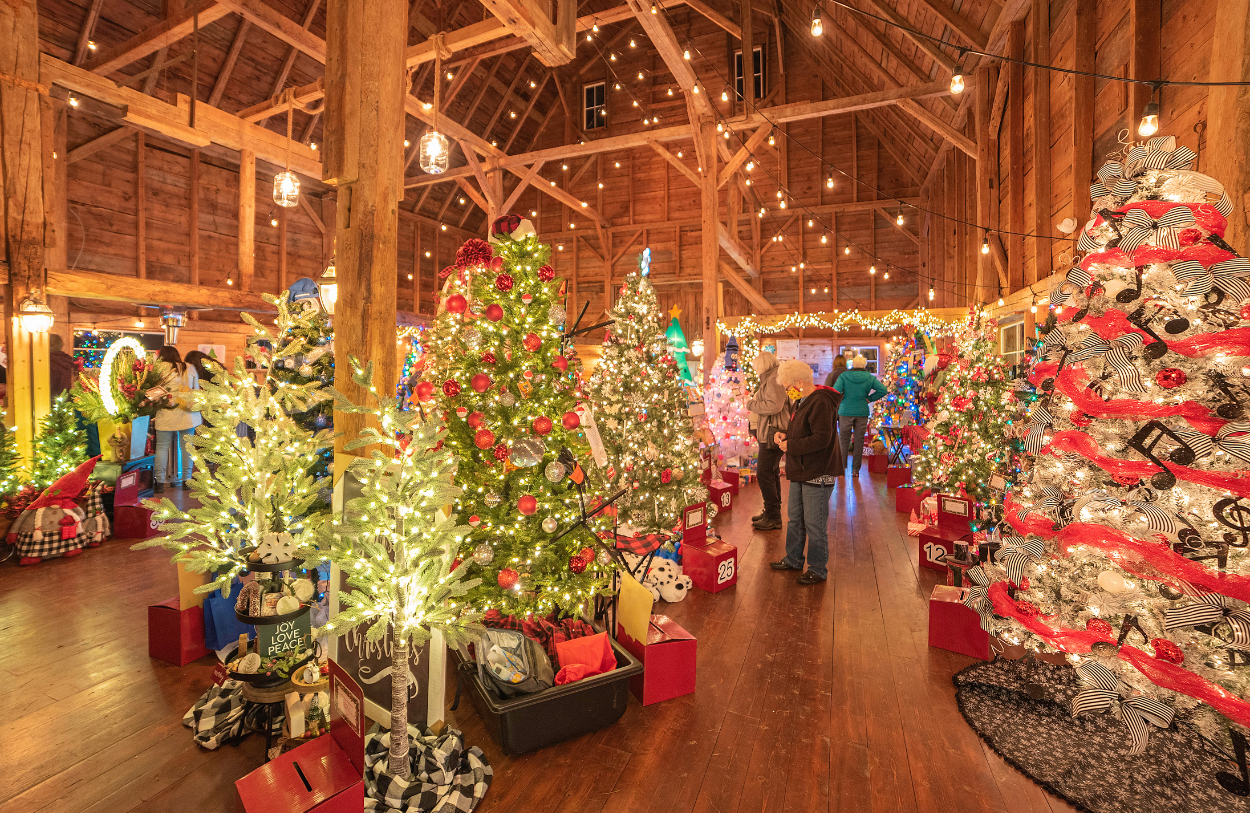 many christmas trees at the festival of trees in houlton inside a post a and beam barn.