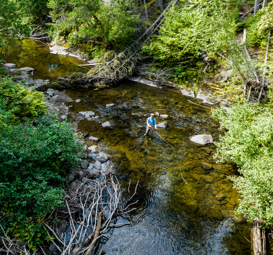 Friendly locals just pausing to let you simply just be :) #VisitAroostook #mainething