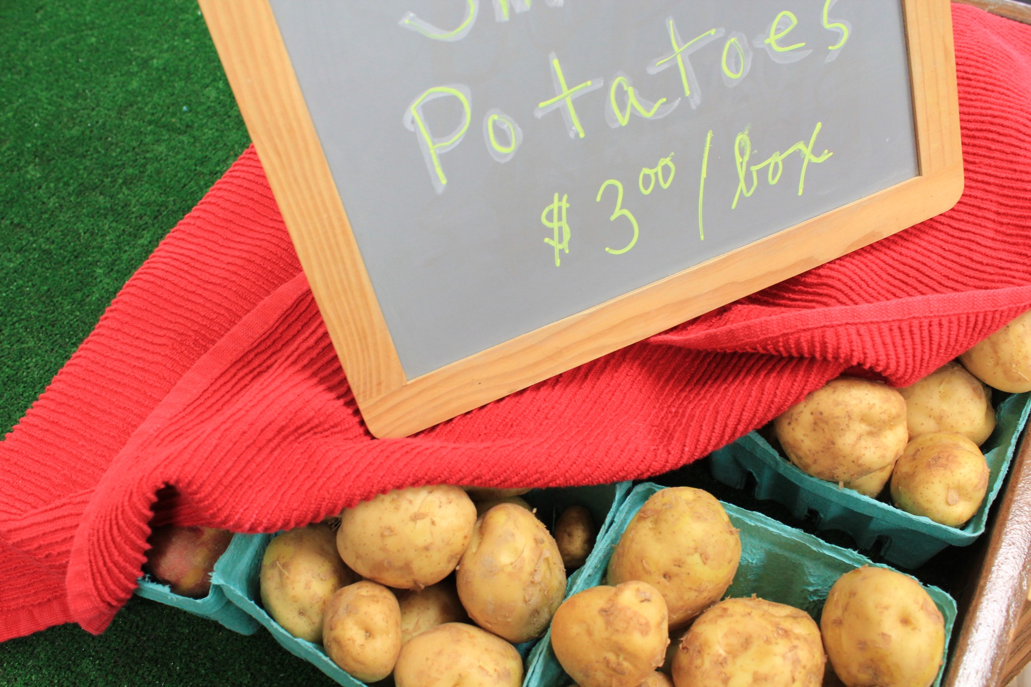 Farm Fresh Potatoes, Houlton, Maine