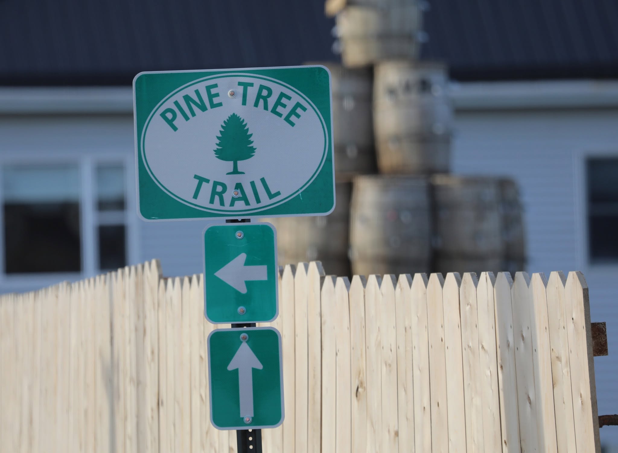 maine's favorite road trip is the pine tree trail