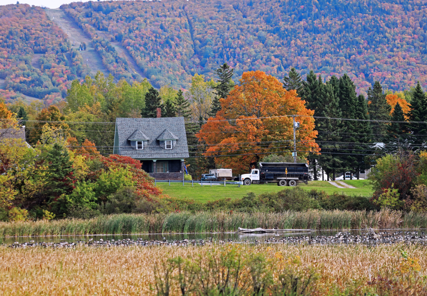 Friendly locals just pausing to let you simply just be :) #VisitAroostook #mainething