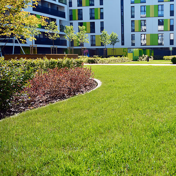 Green lawn with bushes and small trees in front of modern apartment buildings with green accents.
