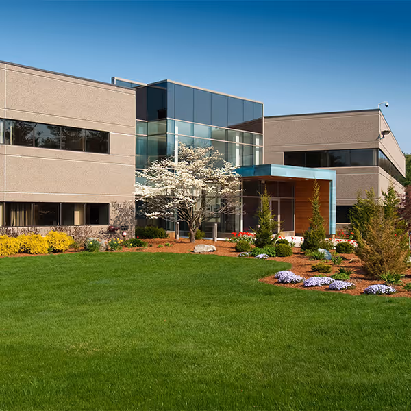 Modern office building with glass entrance, flowering tree, and landscaped lawn under a clear sky.