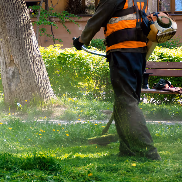 Person wearing safety vest using a gas-powered grass trimmer to cut grass near a tree and bench.