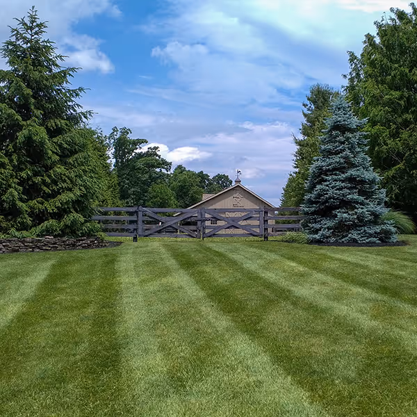Striped green lawn leading to a wooden fence with trees and a small building under a blue sky.