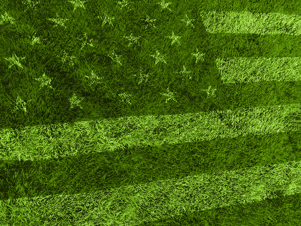 American flag pattern created by mowing stripes and stars in a green grassy lawn.