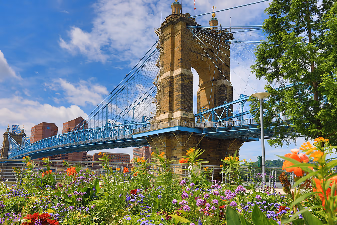 Blue suspension bridge with stone towers over river, colorful flowers and green tree in foreground.