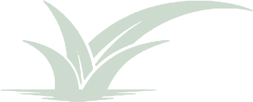 Stylized green grass with three large blades curving outward on a transparent background.