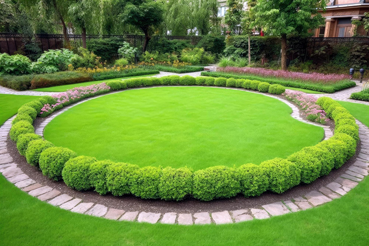 Shrub shaping and hedge sculpting by From The Soil landscaping team