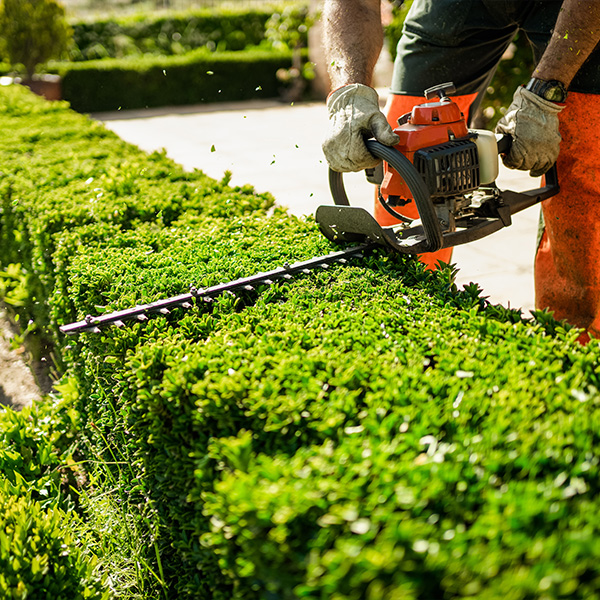 Neatly trimmed hedges and shrubs at a residential property in Cincinnati