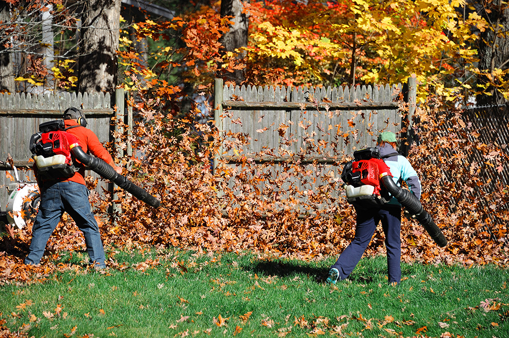 Clean and debris-free yard after seasonal lawn cleanup service
