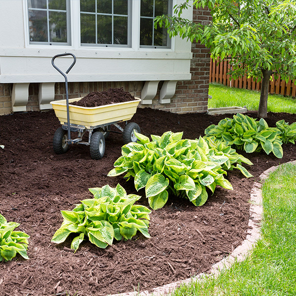 Mulch bed installation with clean edging along a residential driveway