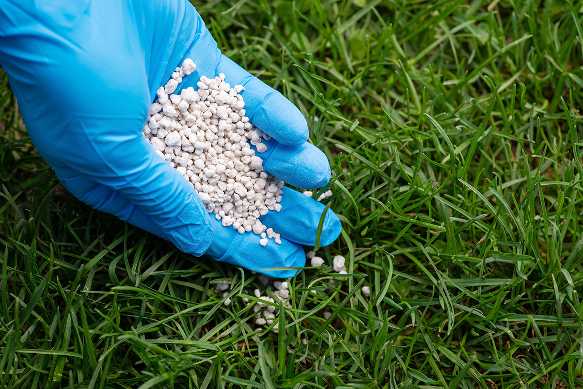 Lawn fertilization treatment being applied to a lush green yard in Ohio