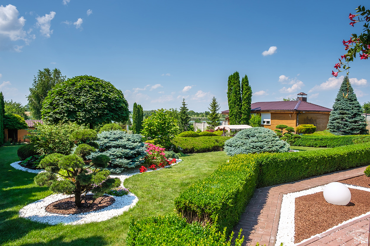 Professionally groomed hedges enhancing curb appeal of a home