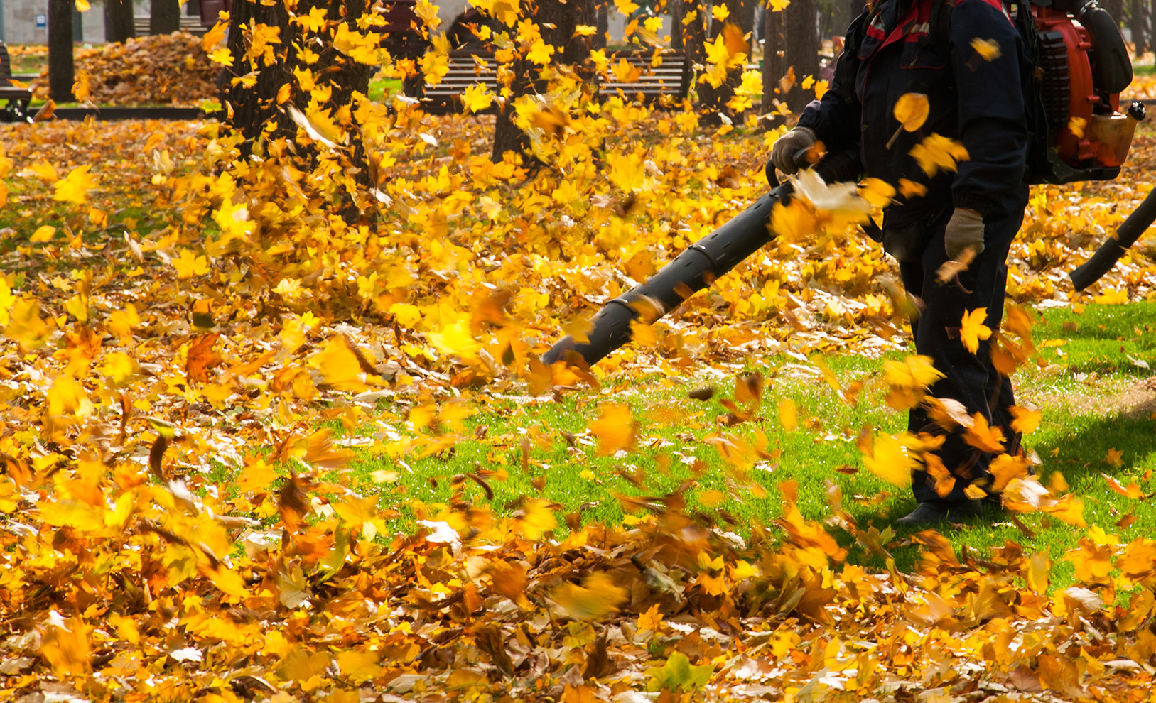 Bagged yard waste after professional debris removal by From The Soil crew
