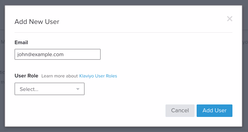 Clicking Add New User button prompting a modal to add user email, role, and Add User button