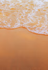 Animation Image 3