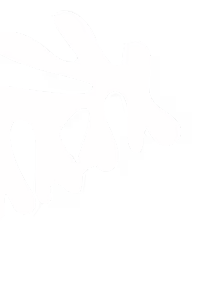Shape Icon
