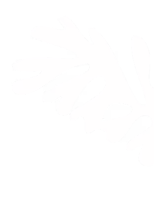 Shape Image