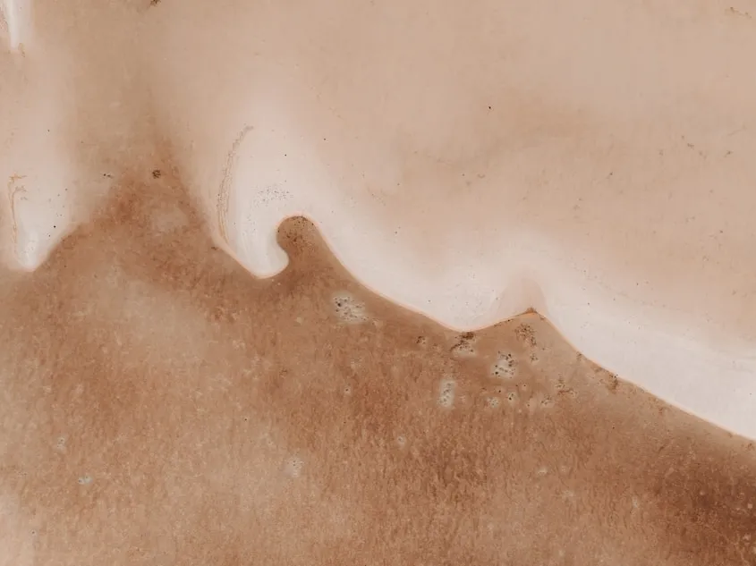 Kalos & Muse CTA Image 2