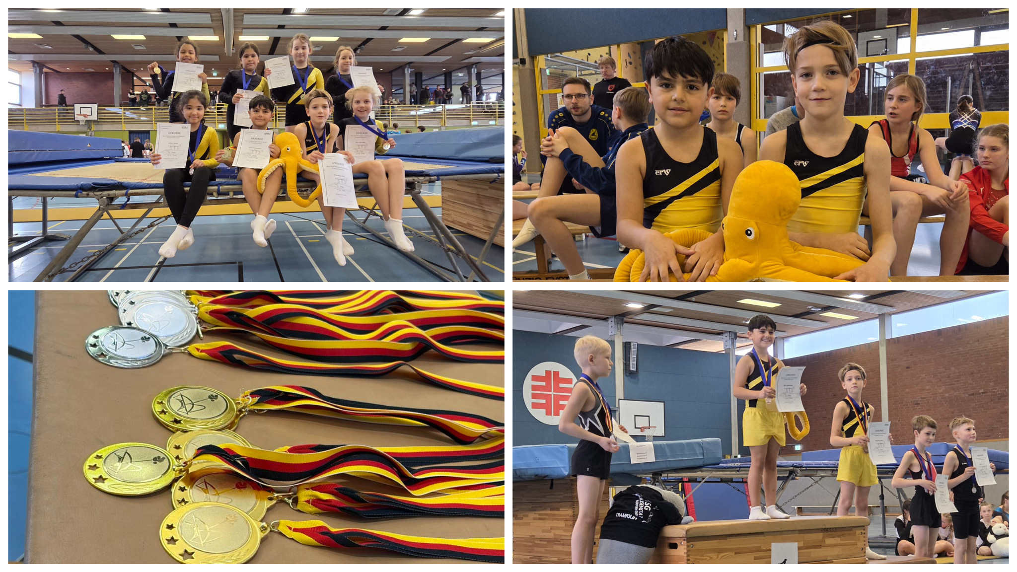 Trampolin: Bezirkswettkämpfe in Rinteln am 15.03.2026