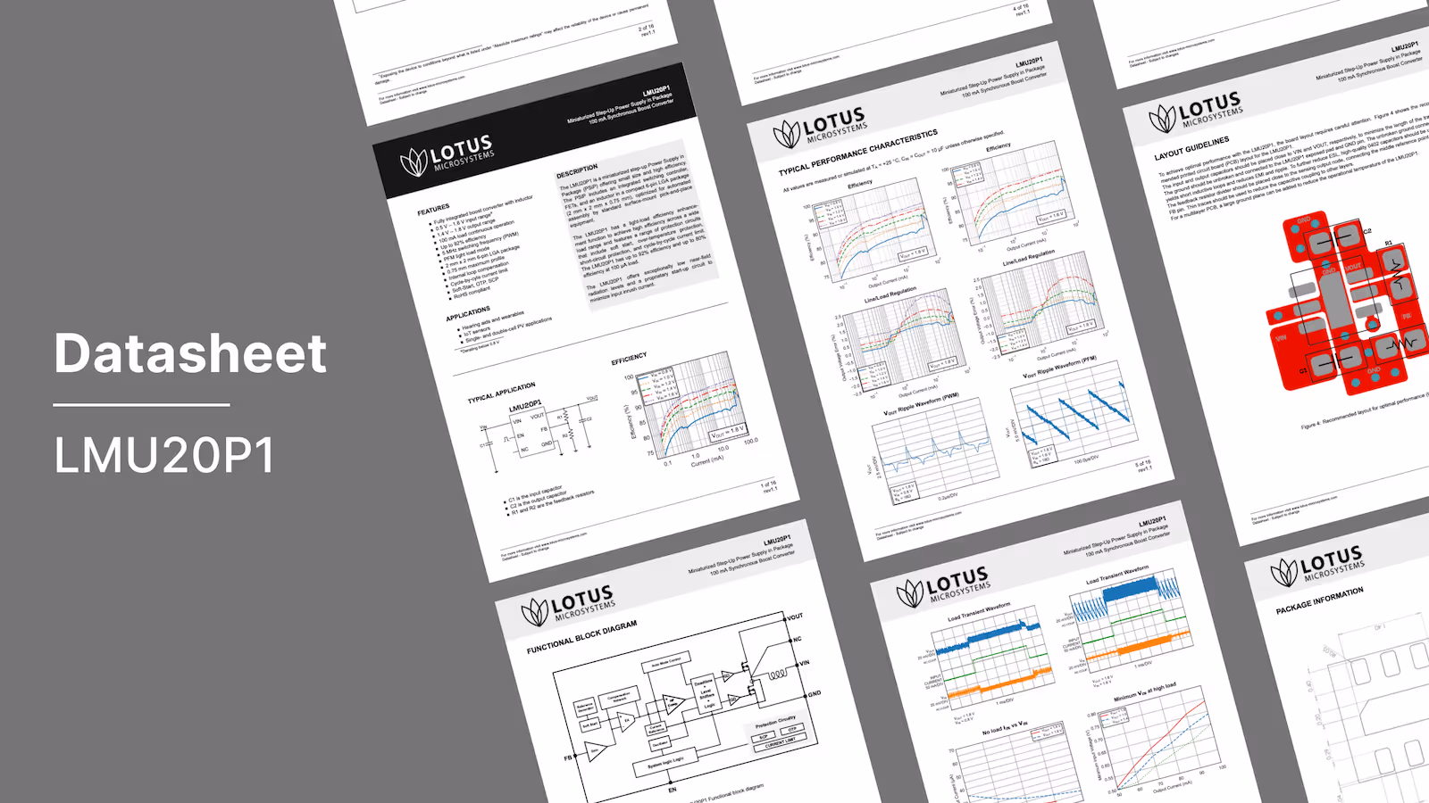 LTG Family Datasheet