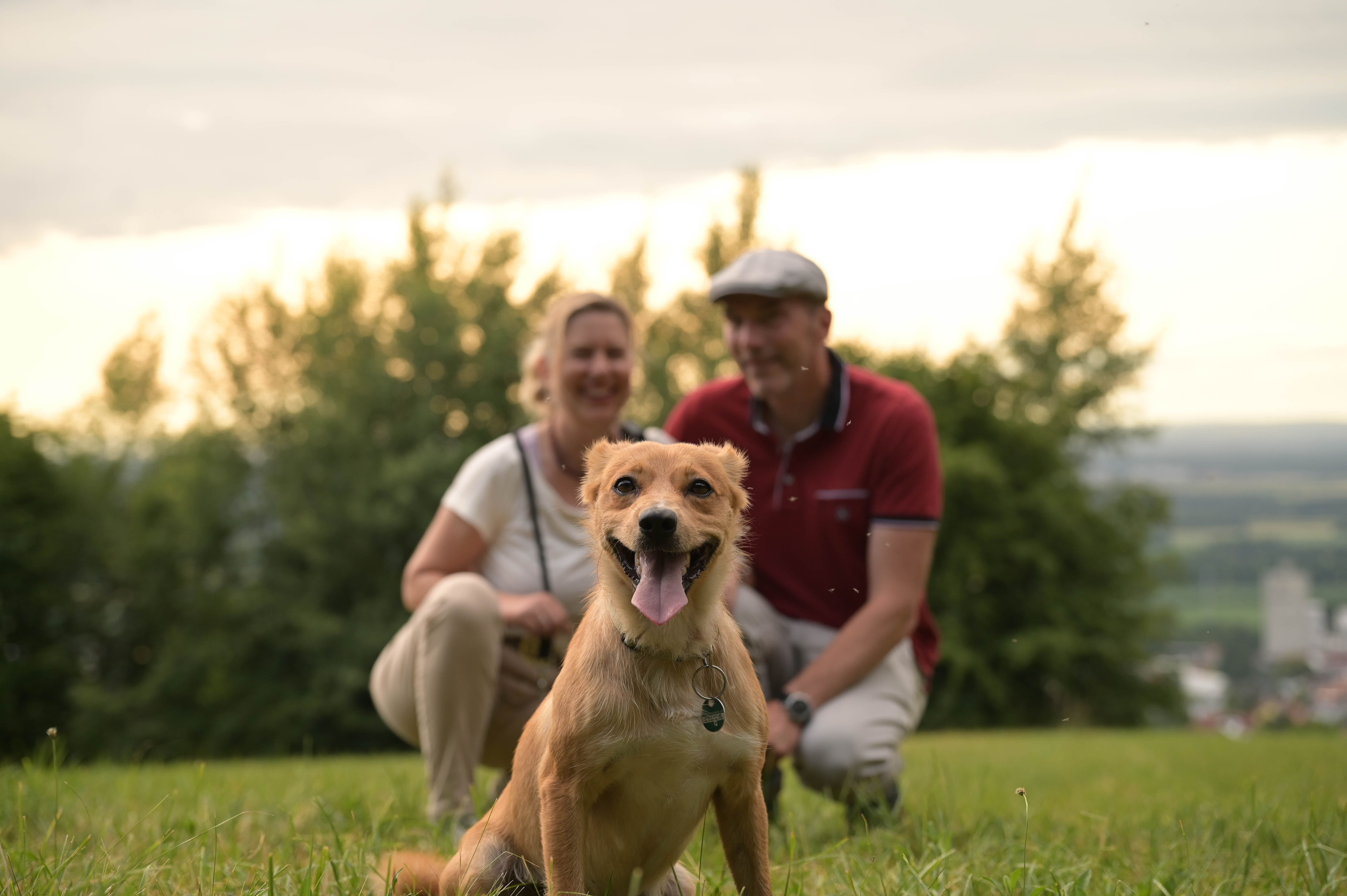 Bild vor bearbeitung