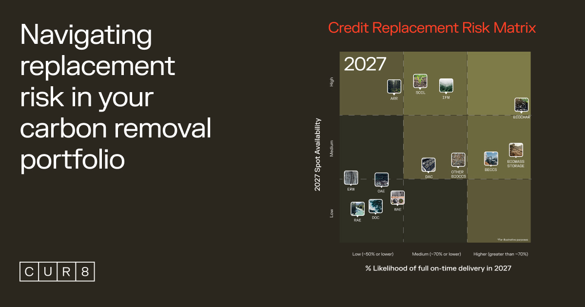 CUR8 | Navigating Replacement Risk in Carbon Removal Portfolios