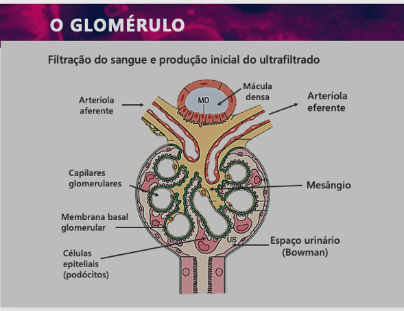 DiagramaDescrição gerada automaticamente